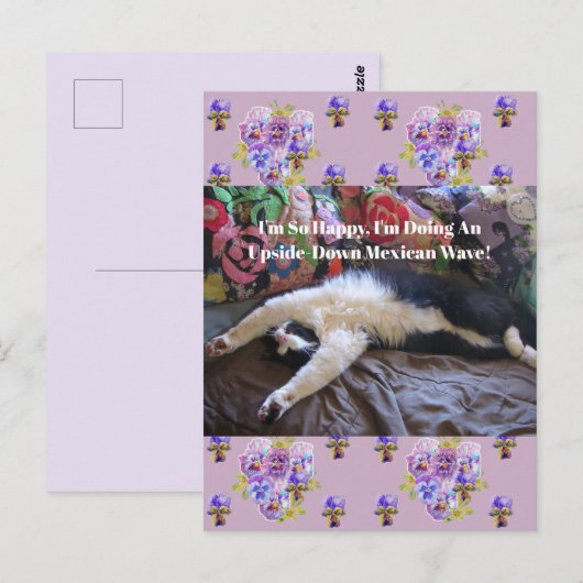 Tuxedo kat grappige lieve Mexicaanse golf quote Briefkaart (Voorkant / Achterkant)