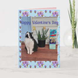 Tuxedo Kat Grappige Schattige Katten Valentijnsdag Kaart