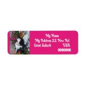 Tuxedo kat Honden Kunst Retouradres Labels (Voorkant)