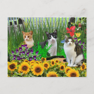 Tuxedo Kat in Bloementuin / Collage Kunst Briefkaart