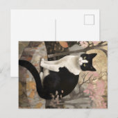 Tuxedo Kat in de Tuin Briefkaart (Voorkant / Achterkant)