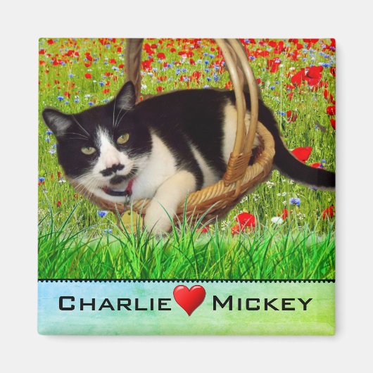 Tuxedo Kat in Mand Frigo Magneet (Voorkant)