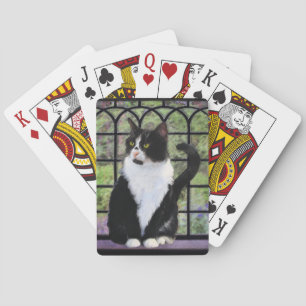 Tuxedo Kat in Raam Schilderij Originele Dieren Kun Pokerkaarten