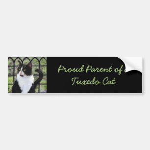 Tuxedo Kat In Venster Schilderen Originele Dierenk Bumpersticker