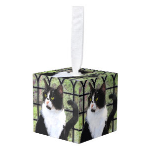 Tuxedo Kat In Venster Schilderen Originele Dierenk Decoratie