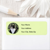 Tuxedo Kat In Venster Schilderen Originele Dierenk Etiket (Insitu)