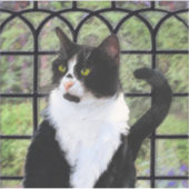 Tuxedo Kat In Venster Schilderen Originele Dierenk Sticker (Voorkant)