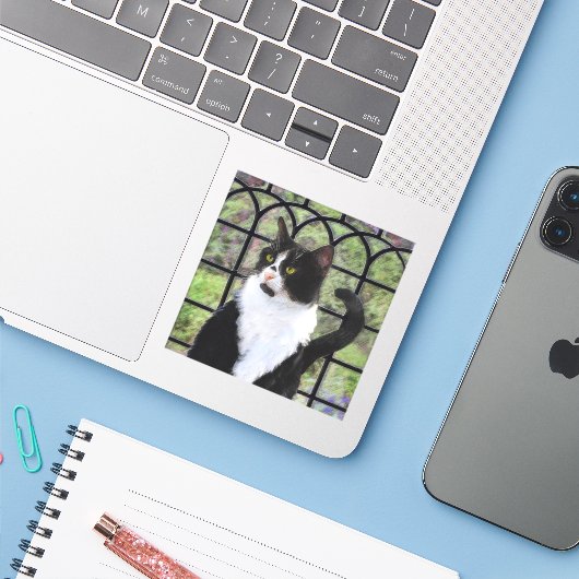 Tuxedo Kat In Venster Schilderen Originele Dierenk Sticker (Laptop met iPhone)