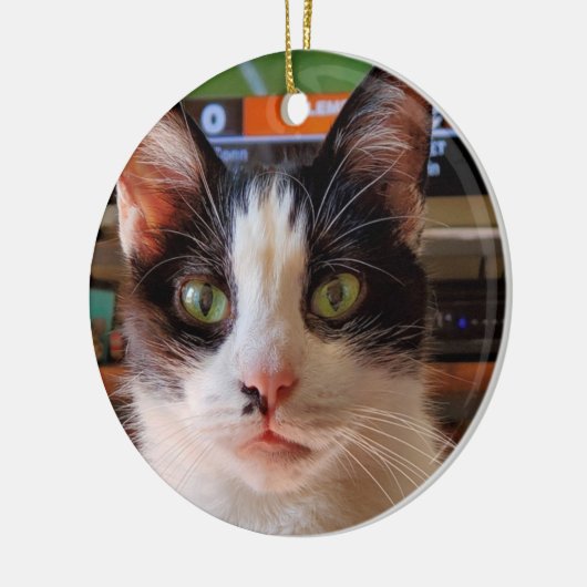 Tuxedo-kat Keramisch Ornament (Links)