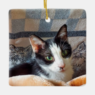 Tuxedo-kat Keramisch Ornament