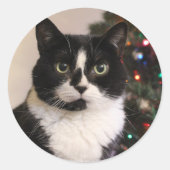 Tuxedo kat Kerst stickers (Voorkant)