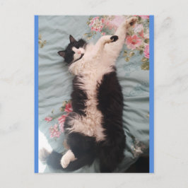 Tuxedo Kat Lief Doet een Gelukkige Dans Ansichtkaa Briefkaart