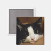 Tuxedo kat magneet (Voorkant / Achterkant)