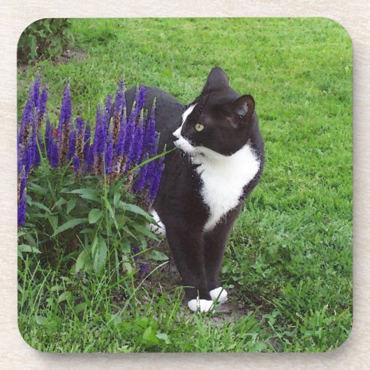 Tuxedo kat onderzetter (Voorkant)