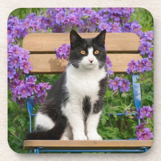 Tuxedo-kat op een tuinstoel met bloemen bier onderzetter (Voorkant)