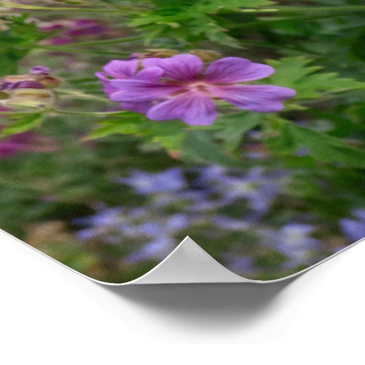 Tuxedo-kat op een tuinstoel met bloemen poster (Hoek)