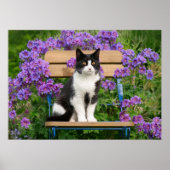 Tuxedo-kat op een tuinstoel met bloemen poster (Voorkant)