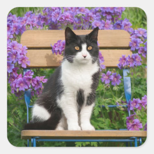 Tuxedo-kat op een tuinstoel met bloemen vierkante sticker