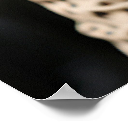 Tuxedo Kat Roar Cheetah Print Suit (Hoek)