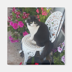 Tuxedo Kat Schattig met Mooie Bloemen Zwarte Katte Magneet