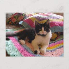 Tuxedo Kat Schattig met Mooie Gehaakte Kleed Ansic Briefkaart