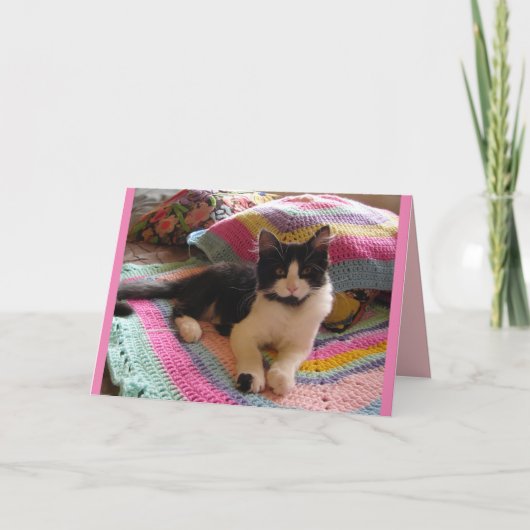 Tuxedo kat schattig slapend op gehaakte vloermat k kaart (Voorkant)