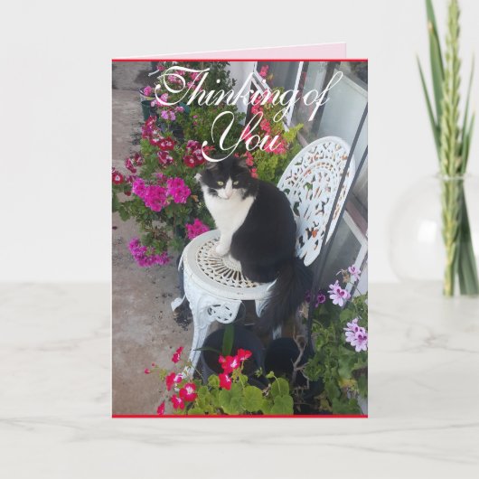 Tuxedo Kat Schattige  Bloemen Katten Denken Kaart (Voorkant)
