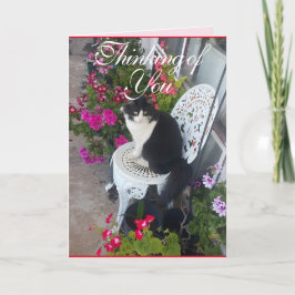 Tuxedo Kat Schattige  Bloemen Katten Denken Kaart
