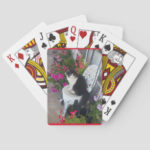 Tuxedo Kat Schattige Bloemen Katten Verjaardag Pokerkaarten