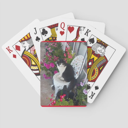 Tuxedo Kat Schattige  Bloemen Katten Verjaardag Pokerkaarten (Achterkant)