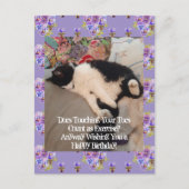 Tuxedo kat Schattige Happy Birthday Toes Briefkaar Briefkaart (Voorkant)