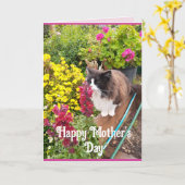 Tuxedo Kat Snuffelen Bloemen Grappige Moederdag Ka Kaart (Gele Bloem)