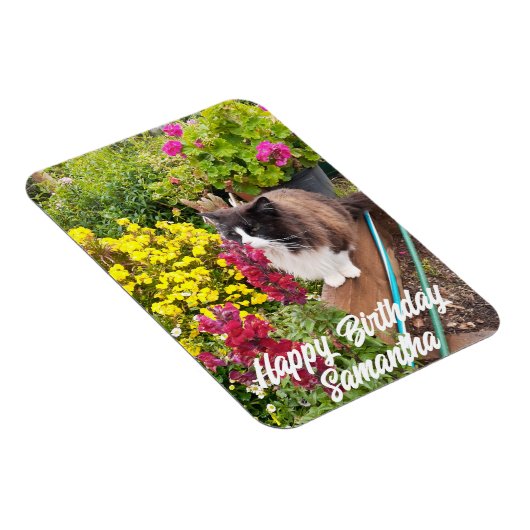 Tuxedo Kat Snuffelen Bloemen Katten Verjaardagsmag Magneet (Rechterzijde)