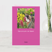 Tuxedo Kat Snuffelt aan Bloemen Funny Valentijnsda Kaart (Achterkant)