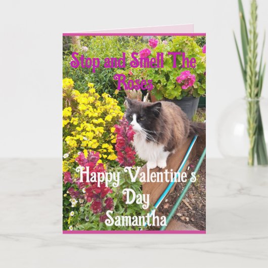 Tuxedo Kat Snuffelt aan Bloemen Funny Valentijnsda Kaart (Voorkant)