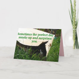 Tuxedo Kat Verbergt Perfecte Dag Quote Kaart