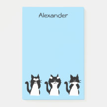 Tuxedo katten | Drie wijze katjes lichtblauw