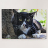 tuxedo kattenpuzzel legpuzzel (Horizontaal)