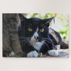 tuxedo kattenpuzzel legpuzzel