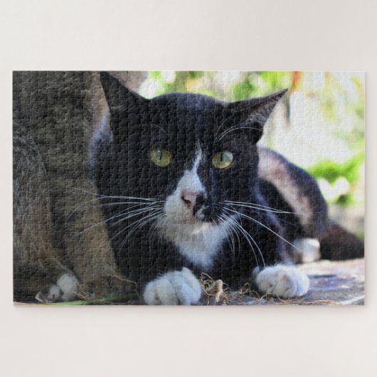 tuxedo kattenpuzzel legpuzzel (Horizontaal)