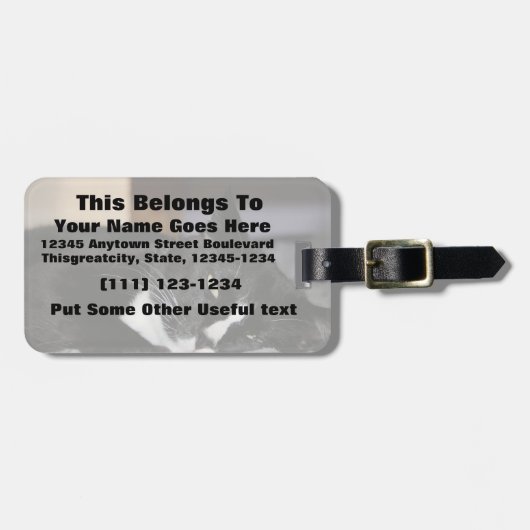 tuxedo katzwart-wit, onderaan één oog open bagagelabel (Voorkant horizontaal)