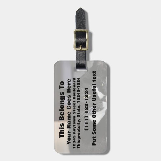 tuxedo katzwart-wit, onderaan één oog open bagagelabel (Voorkant verticaal)