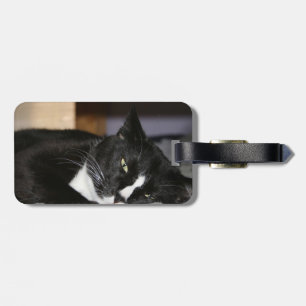 tuxedo katzwart-wit, onderaan één oog open bagagelabel