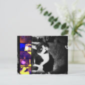 Tuxedo Kitten Briefkaart voor fotokunst (Staand voorkant)