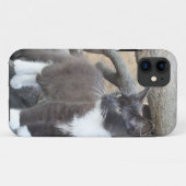 Tuxedo Kitten Case-Mate iPhone Case (Achterkant (horizontaal))