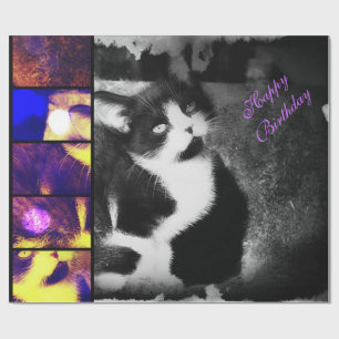 Tuxedo Kitten fotopapier *Birthday* Cadeaupapier