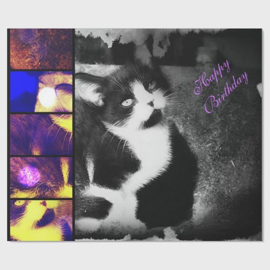 Tuxedo Kitten fotopapier *Birthday* Cadeaupapier (Vlak)