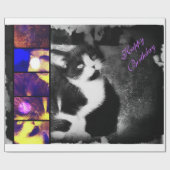 Tuxedo Kitten fotopapier *Birthday* Cadeaupapier (Vlak)