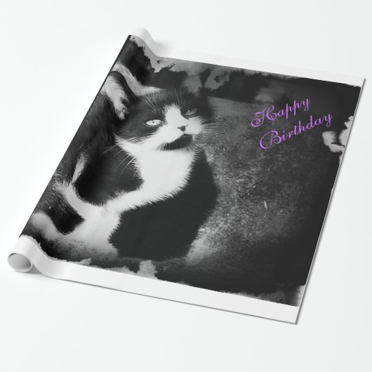 Tuxedo Kitten fotopapier *Birthday* Cadeaupapier (Uitgerold)