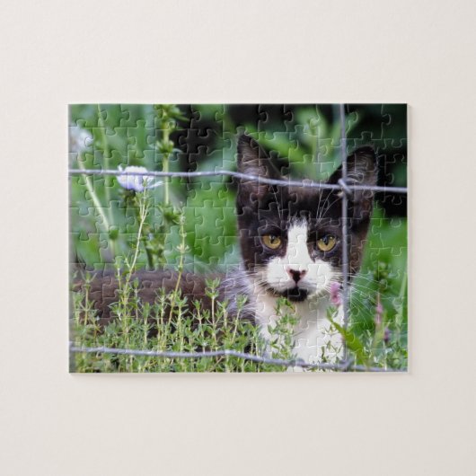 Tuxedo Kitten in de tuin van de puzzel (Horizontaal)
